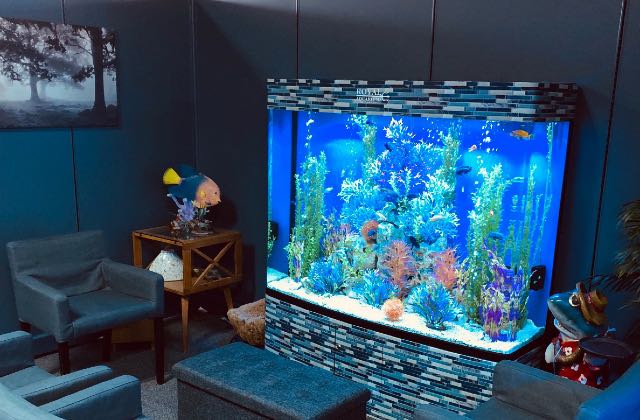 Water Works Aquariums